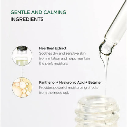 Glow Boost Hydration Serum – Hydrating & Brightening | Florvae